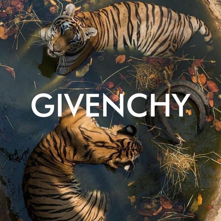 Чехол для iPhone 5 Givenchy Tiger: Стиль и Защита